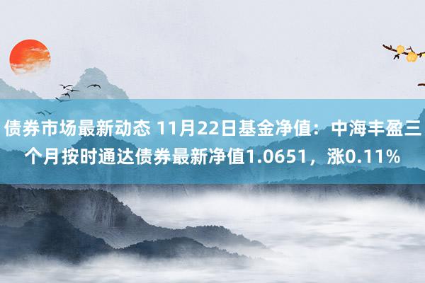 债券市场最新动态 11月22日基金净值：中海丰盈三个月按时通达债券最新净值1.0651，涨0.11%