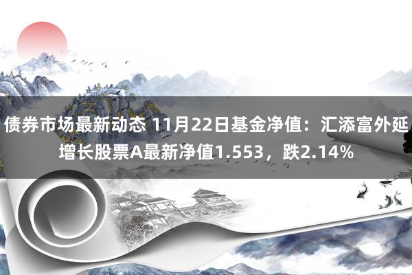 债券市场最新动态 11月22日基金净值：汇添富外延增长股票A最新净值1.553，跌2.14%