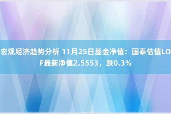 宏观经济趋势分析 11月25日基金净值：国泰估值LOF最新净值2.5553，跌0.3%