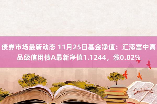 债券市场最新动态 11月25日基金净值：汇添富中高品级信用债A最新净值1.1244，涨0.02%