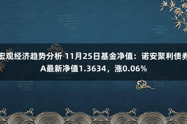 宏观经济趋势分析 11月25日基金净值：诺安聚利债券A最新净值1.3634，涨0.06%