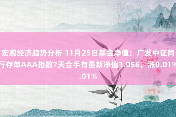 宏观经济趋势分析 11月25日基金净值：广发中证同行存单AAA指数7天合手有最新净值1.056，涨0.01%