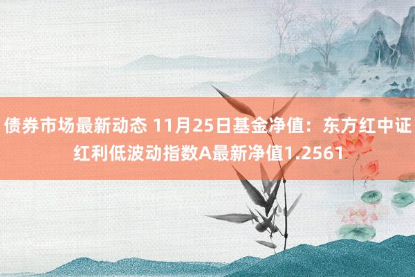 债券市场最新动态 11月25日基金净值：东方红中证红利低波动指数A最新净值1.2561