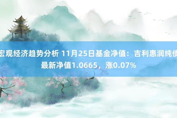 宏观经济趋势分析 11月25日基金净值：吉利惠润纯债最新净值1.0665，涨0.07%