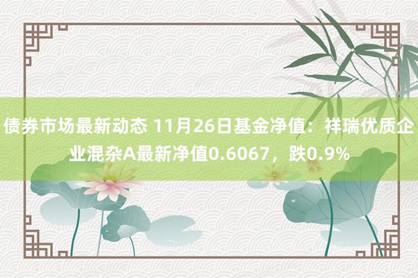 债券市场最新动态 11月26日基金净值：祥瑞优质企业混杂A最新净值0.6067，跌0.9%