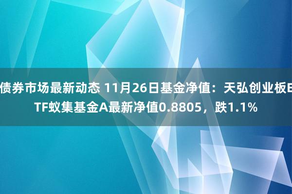 债券市场最新动态 11月26日基金净值：天弘创业板ETF蚁集基金A最新净值0.8805，跌1.1%