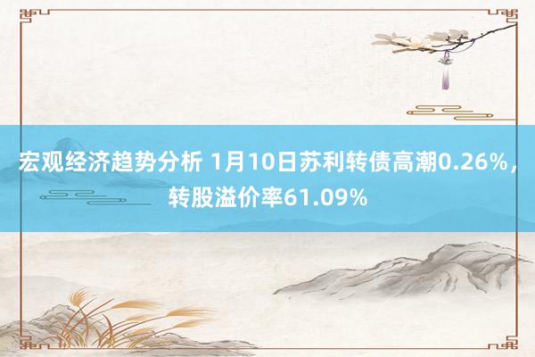 宏观经济趋势分析 1月10日苏利转债高潮0.26%，转股溢价率61.09%