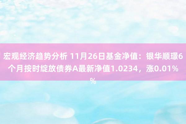 宏观经济趋势分析 11月26日基金净值：银华顺璟6个月按时绽放债券A最新净值1.0234，涨0.01%