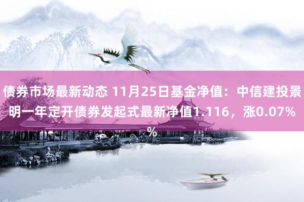 债券市场最新动态 11月25日基金净值：中信建投景明一年定开债券发起式最新净值1.116，涨0.07%